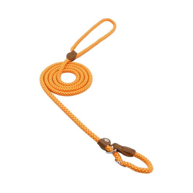 Adjustable Nylon Dog Collar & Leash Set