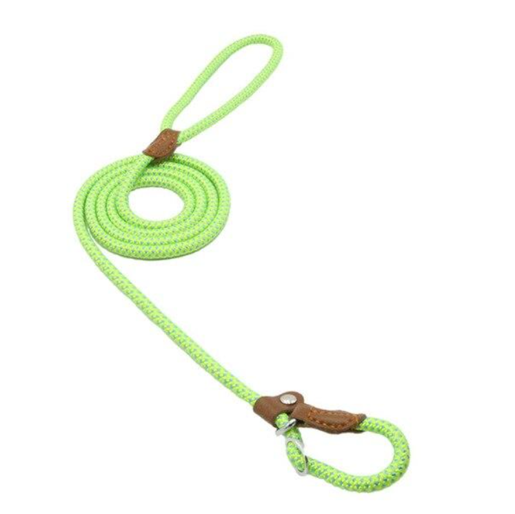 Adjustable Nylon Dog Collar & Leash Set
