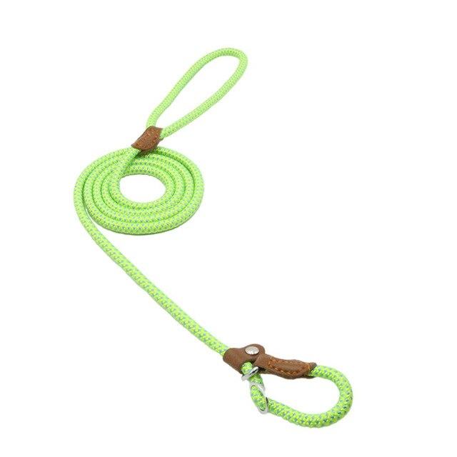 Adjustable Nylon Dog Collar & Leash Set