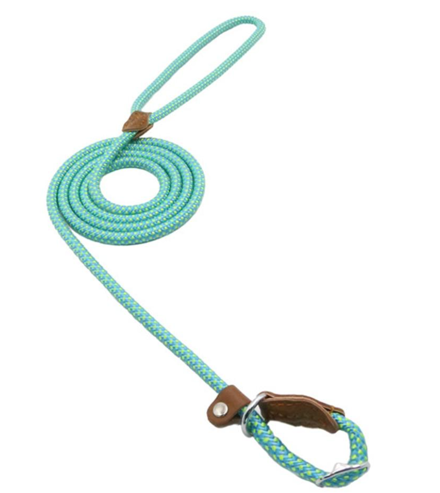 Adjustable Nylon Dog Collar & Leash Set