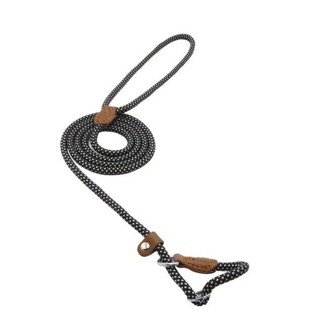Adjustable Nylon Dog Collar & Leash Set