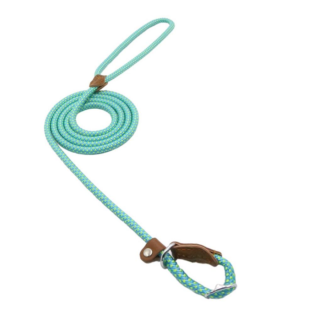 Adjustable Nylon Dog Collar & Leash Set