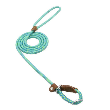 Adjustable Nylon Dog Collar & Leash Set