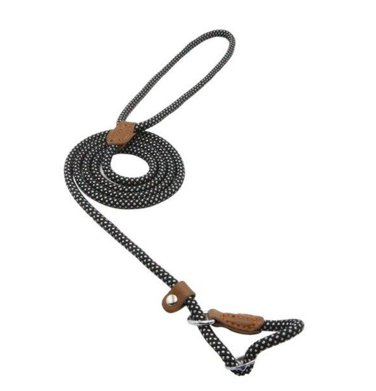 Adjustable Nylon Dog Collar & Leash Set