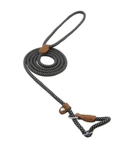 Adjustable Nylon Dog Collar & Leash Set