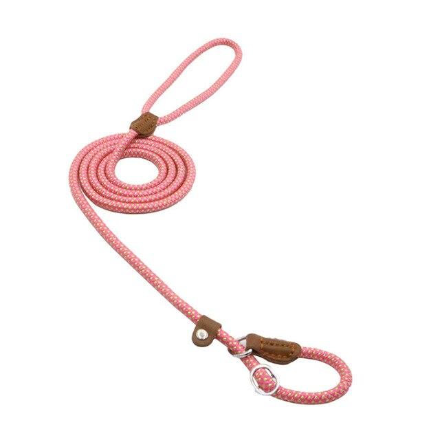 Adjustable Nylon Dog Collar & Leash Set