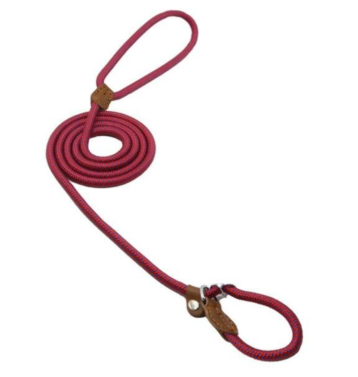 Adjustable Nylon Dog Collar & Leash Set