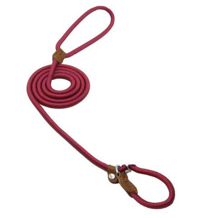 Adjustable Nylon Dog Collar & Leash Set