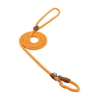 Adjustable Nylon Dog Collar & Leash Set