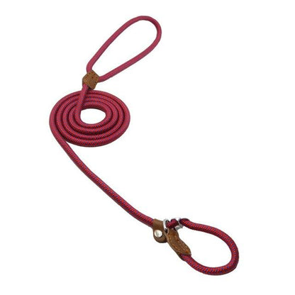 Adjustable Nylon Dog Collar & Leash Set