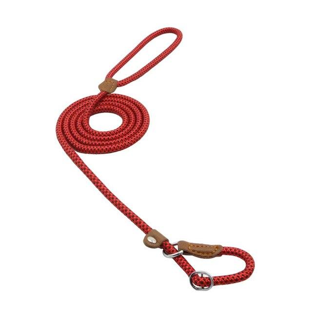 Adjustable Nylon Dog Collar & Leash Set
